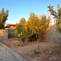 باغچه دارای کوچه ۶ متری،انشعاب چسب ملک|فروش زمین و ملک کلنگی|تهران, شهرک آزادی|دیوار