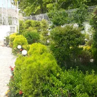 خدمات گل و گلدون در منزل ومحل کار|خدمات باغبانی و درختکاری|شیراز, زرهی|دیوار