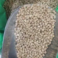 لوبیاچیتی چشمبلبلی عدس نخودبرنج تایلندی|خوردنی و آشامیدنی|دوگنبدان, |دیوار