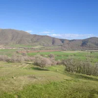 فروش زمین کشاورزی دشت چاوگ