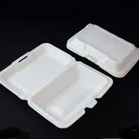ظروف یکبار مصرف