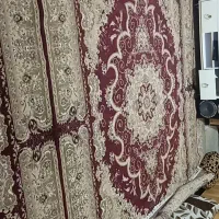 دوتا فرش 12متری|فرش|شیراز, شریف‌آباد|دیوار