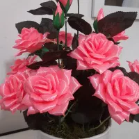 گل ربانی|گل مصنوعی|صومعه‌سرا, |دیوار