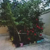 اجاره منزل مسکونی ویلایی تمیز با قیمت استثنایی|اجارهٔ خانه و ویلا|اصفهان, برازنده|دیوار