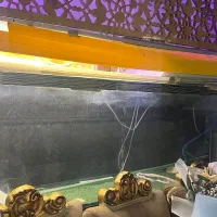 آکواریوم بزرگ