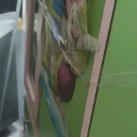 تخت و کمد نوجوان فروشی|تخت و سرویس خواب|کلاردشت, |دیوار