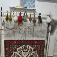 یک جفت فرش دستباف زر و نیم|فرش|اندیشه, اندیشه فاز ۱|دیوار