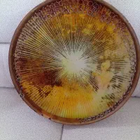 دف در حده خشک خوش طرح پخش دست