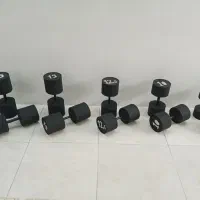 دمبل بتنی و صفحه هالتر و میله هالتر وکتل بل