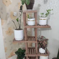 استند گل