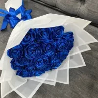 گل ربانی|گل مصنوعی|تهران, سازمان برنامه جنوبی|دیوار