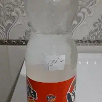هندوانه کوهی درمان کل بدن
