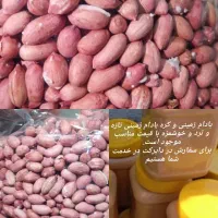 بادام زمینی وکره بادام زمینی تازه موجوداست