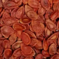 تخمه جابانی ،ژاپنی