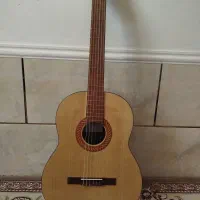 گیتار مدل بنبرگ 491
