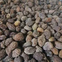 الو خشک خوانسار ی
