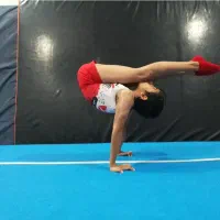 مربی ، ژیمناستیک