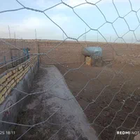 فروش گاوداری در رشتخوار|فروش دفتر صنعتی، کشاورزی، تجاری|رشتخوار, |دیوار