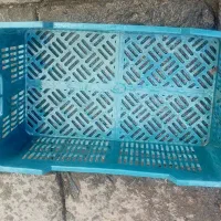 جعبه پلاستیکی بزرگ|ظروف نگهدارنده، پلاستیکی، یک‌بارمصرف|مریوان, |دیوار