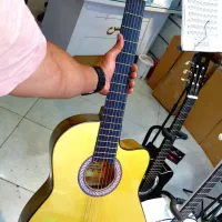گیتار شکترscheter