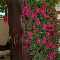 فروش واحد ویلایی