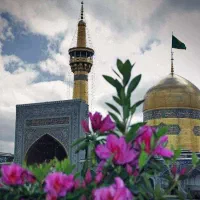 تور رفت و برگشت هوایی مشهد لوکس و تاپ|تور و چارتر|تهران, جنتآباد مرکزی|دیوار