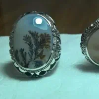 انگشتر شجر منظره