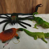 حیوانات وحشی دایناسور ماکیان حیوانات اهلی و...