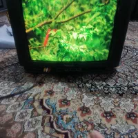 تلویزیون سامسونگ ۲۱|تلویزیون و پروژکتور|شیراز, شاپورجان|دیوار