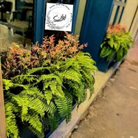 دیزاین سرخس باکس گیاه/فلاور باکس ورودی|گل مصنوعی|تهران, بروجردی|دیوار