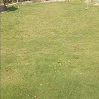 خونه-باغ-با-طرح-ویژه