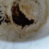 دوستان فال قهوه ابجدکبیر تاروت وفال چای|فعالیت داوطلبانه|شیراز, شاهچراغ|دیوار