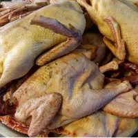 محصولات محلی|خوردنی و آشامیدنی|رشت, بوسار|دیوار