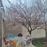 اجاره ویلا شاندیز