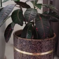 فراغت نیه|کتاب و مجله آموزشی|سنندج, |دیوار