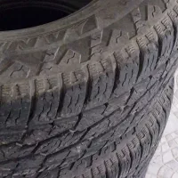لاستیک  افرود