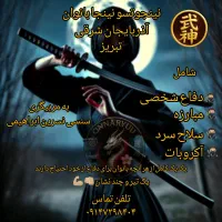 ورزشی، رزمی، نینجوتسو نینجا بانوان