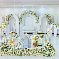 مهماندار خانم