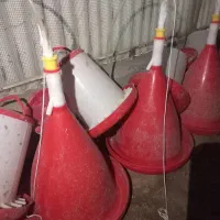 آبخوری مکانیزه و خودکار