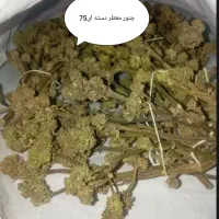 مقداری وسیله اضافه|ظروف سرو و پذیرایی|جوانرود, |دیوار