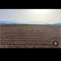 زمین-کشاورزی-دیم-شوشتر-اجاره-داده-میشود