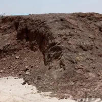 کود خشک و پوسیده گاوی،گوسفندی و خاک باغچه|خدمات باغبانی و درختکاری|کرج, کمالشهر|دیوار