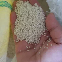 نیم دانه عنبر بو