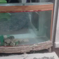 آکواریوم معاوضه با قناری