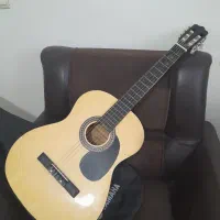 ویلن و گیتار|ویولن|پاکدشت, پاکدشت (مامازند)|دیوار