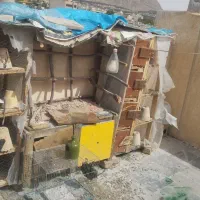 کبوتر و قفس