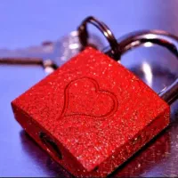 راهنمای حل مشکلات ، سرکتاب