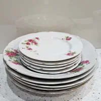 ظروف چینی گل سرخی