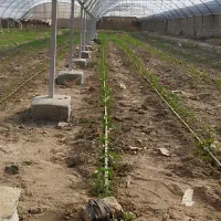 نصاب و جوشکار گلخانه