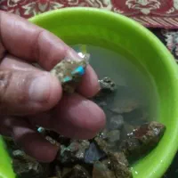 سنگ فیروزه راف نیشابور|جواهرات|مشهد, رباط طرق|دیوار